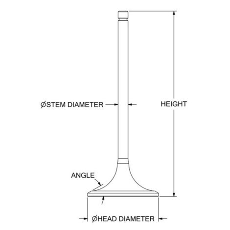 6215-41-4220 VALVE EXHAUST-2