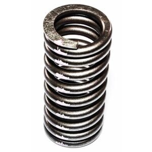 Valve Spring