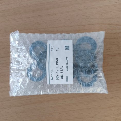 oil seal